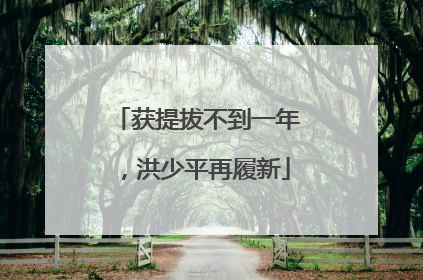 获提拔不到一年，洪少平再履新