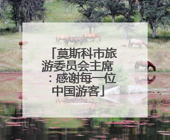 莫斯科市旅游委员会主席：感谢每一位中国游客