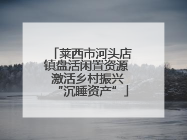莱西市河头店镇盘活闲置资源 激活乡村振兴“沉睡资产”
