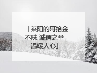 莱阳的哥拾金不昧 诚信之举温暖人心