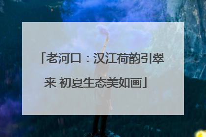 老河口：汉江荷韵引翠来 初夏生态美如画