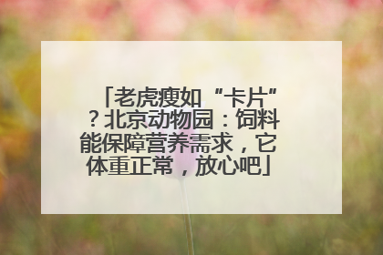 老虎瘦如“卡片”？北京动物园：饲料能保障营养需求，它体重正常，放心吧