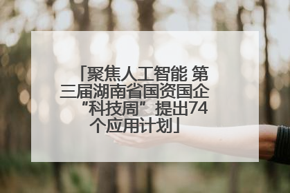 聚焦人工智能 第三届湖南省国资国企“科技周”提出74个应用计划