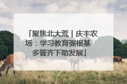 聚焦北大荒｜庆丰农场：学习教育强根基 多管齐下助发展