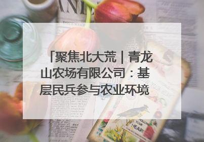 聚焦北大荒｜青龙山农场有限公司：基层民兵参与农业环境综合治理显效