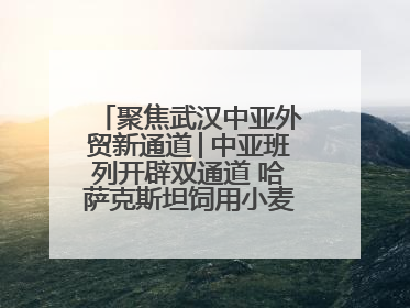 聚焦武汉中亚外贸新通道│中亚班列开辟双通道 哈萨克斯坦饲用小麦将抵鄂