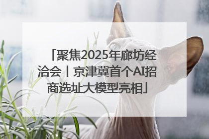 聚焦2025年廊坊经洽会丨京津冀首个AI招商选址大模型亮相