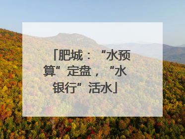肥城：“水预算”定盘，“水银行”活水