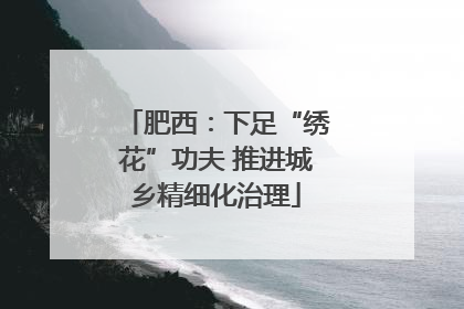 肥西：下足“绣花”功夫 推进城乡精细化治理
