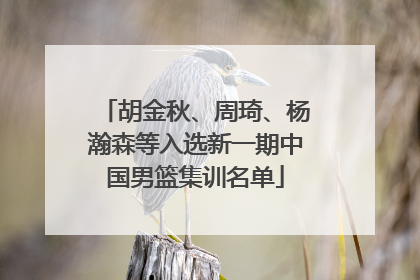 胡金秋、周琦、杨瀚森等入选新一期中国男篮集训名单