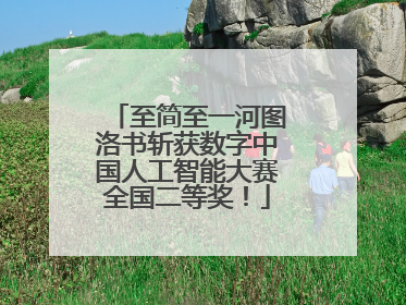 至简至一河图洛书斩获数字中国人工智能大赛全国二等奖！