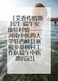 艾香传情惠民生 端午安康驻村情——河南中医药大学驻西峡县寨根乡桑树村工作队端午中医惠民记