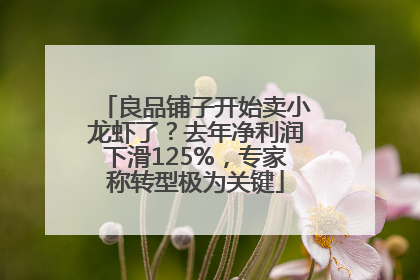 良品铺子开始卖小龙虾了？去年净利润下滑125%，专家称转型极为关键
