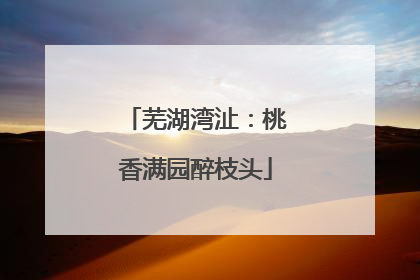 芜湖湾沚：桃香满园醉枝头