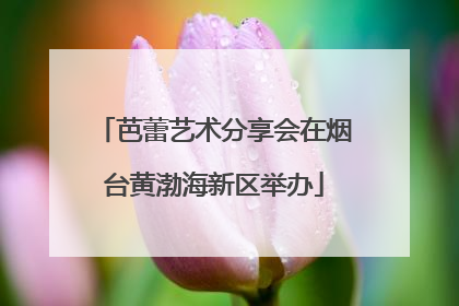 芭蕾艺术分享会在烟台黄渤海新区举办