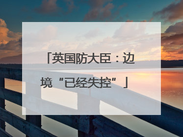 英国防大臣：边境“已经失控”