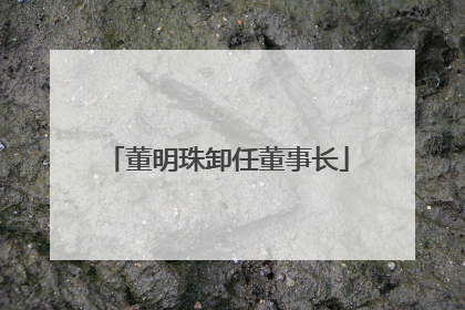 董明珠卸任董事长