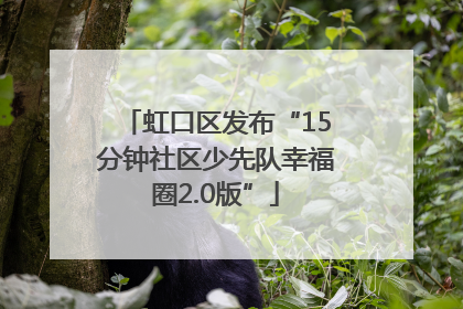 虹口区发布“15分钟社区少先队幸福圈2.0版”