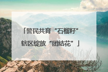 警民共育“石榴籽” 辖区绽放“团结花”