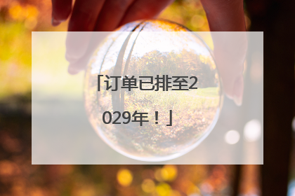 订单已排至2029年！