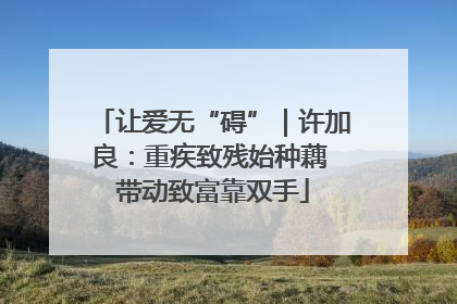 让爱无“碍”｜许加良：重疾致残始种藕 带动致富靠双手