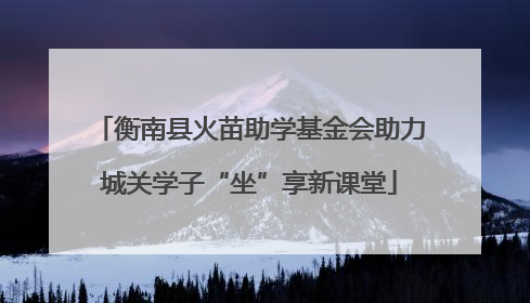 衡南县火苗助学基金会助力城关学子“坐”享新课堂