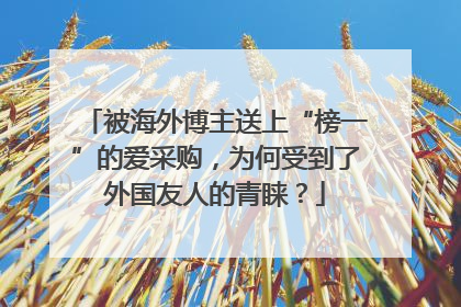 被海外博主送上“榜一”的爱采购，为何受到了外国友人的青睐？
