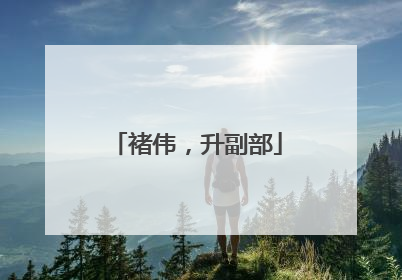 褚伟，升副部