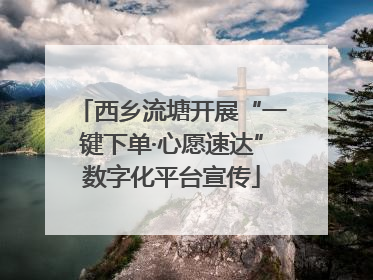 西乡流塘开展“一键下单·心愿速达”数字化平台宣传