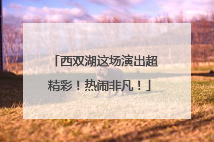西双湖这场演出超精彩！热闹非凡！