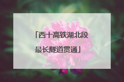 西十高铁湖北段最长隧道贯通
