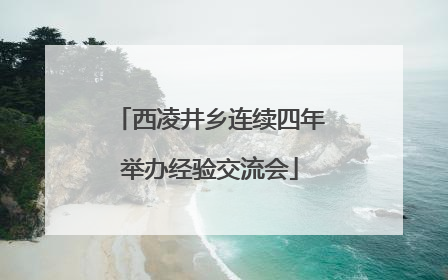 西凌井乡连续四年举办经验交流会