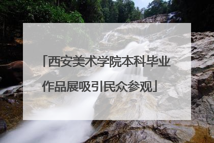 西安美术学院本科毕业作品展吸引民众参观