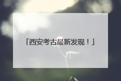 西安考古最新发现！