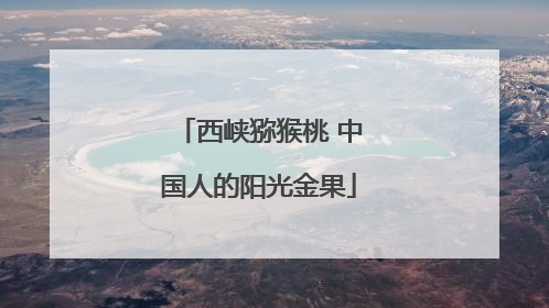 西峡猕猴桃 中国人的阳光金果