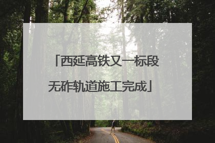 西延高铁又一标段无砟轨道施工完成