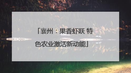 襄州：果香虾跃 特色农业激活新动能