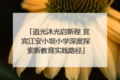 追光沐光启新程 宜宾江安小坝小学深度探索新教育实践路径