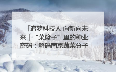 追梦科技人 向新向未来｜“菜篮子”里的种业密码：解码南京蔬菜分子育种的创新之路