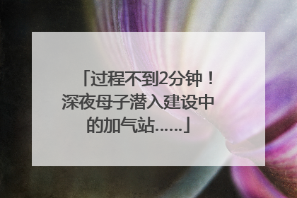 过程不到2分钟！深夜母子潜入建设中的加气站……
