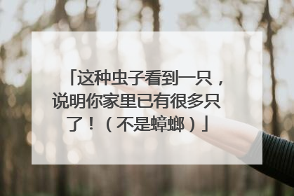 这种虫子看到一只，说明你家里已有很多只了！（不是蟑螂）