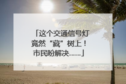 这个交通信号灯竟然“藏”树上！市民盼解决……