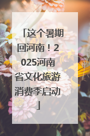 这个暑期回河南！2025河南省文化旅游消费季启动