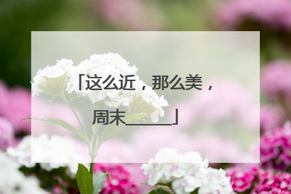 这么近，那么美，周末______