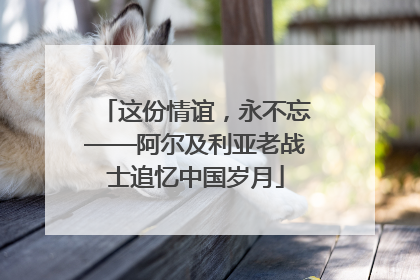 这份情谊，永不忘——阿尔及利亚老战士追忆中国岁月
