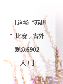 这场“苏超”比赛，省外观众6902人！