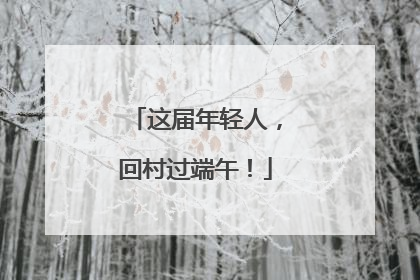 这届年轻人，回村过端午！