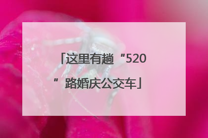 这里有趟“520”路婚庆公交车