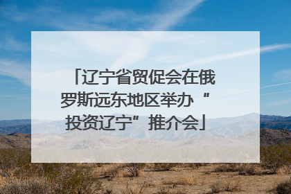 辽宁省贸促会在俄罗斯远东地区举办“投资辽宁”推介会