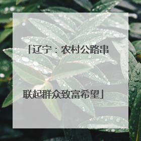 辽宁：农村公路串联起群众致富希望